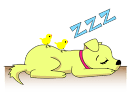 Chihuahua's "yuppi". sticker #1350686