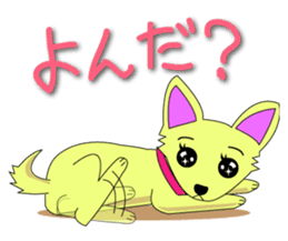 Chihuahua's "yuppi". sticker #1350693