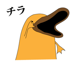 platypus Sticker sticker #1351771