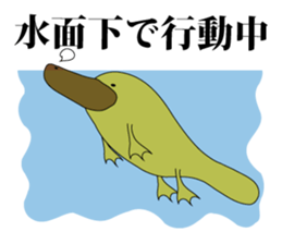 platypus Sticker sticker #1351779