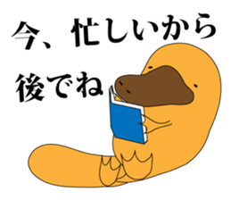 platypus Sticker sticker #1351788