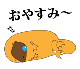 platypus Sticker sticker #1351789