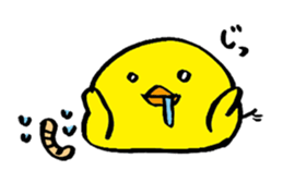 Simple chick sticker #1351854
