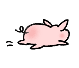 A small baby pig sticker #1353323
