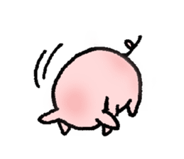 A small baby pig sticker #1353325