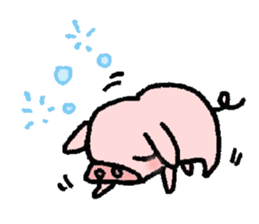 A small baby pig sticker #1353326