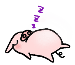 A small baby pig sticker #1353328