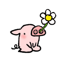 A small baby pig sticker #1353332