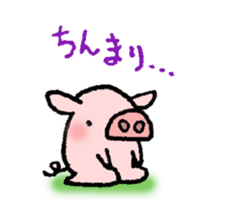 A small baby pig sticker #1353333