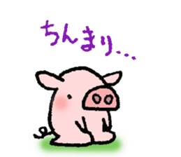 A small baby pig sticker #1353333