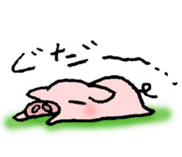 A small baby pig sticker #1353334