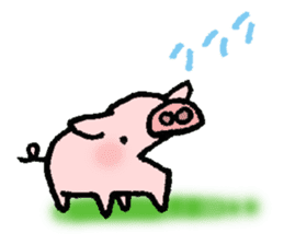 A small baby pig sticker #1353336