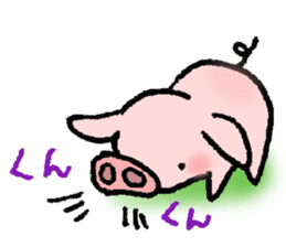 A small baby pig sticker #1353342