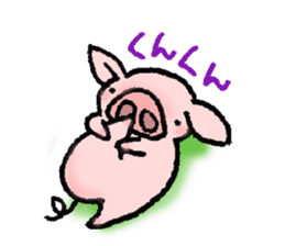 A small baby pig sticker #1353347