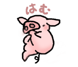 A small baby pig sticker #1353348