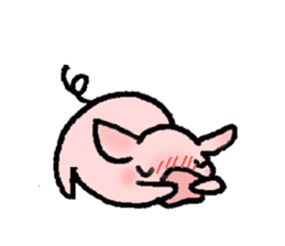 A small baby pig sticker #1353352