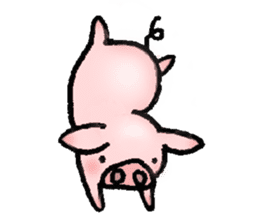A small baby pig sticker #1353353