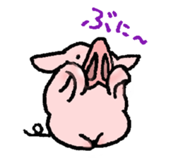 A small baby pig sticker #1353355