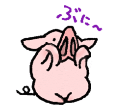 A small baby pig sticker #1353355