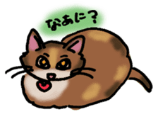 "mike" the calico cat sticker #1354853