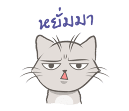 Mochi the cat sticker #1355365