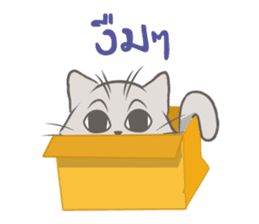 Mochi the cat sticker #1355368