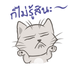 Mochi the cat sticker #1355370