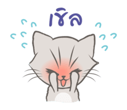 Mochi the cat sticker #1355374