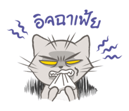 Mochi the cat sticker #1355378