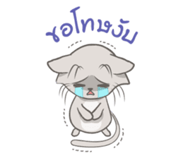 Mochi the cat sticker #1355382