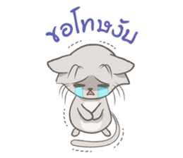 Mochi the cat sticker #1355382