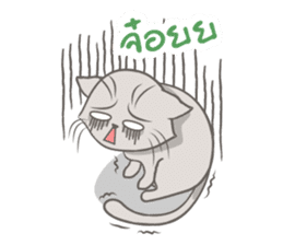 Mochi the cat sticker #1355384