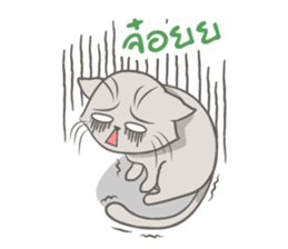Mochi the cat sticker #1355384