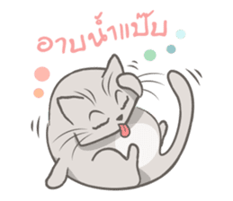 Mochi the cat sticker #1355387
