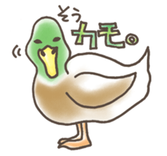 Japanese puns sticker #1356163