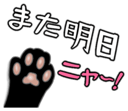 Black cat ROKU sticker #1357564