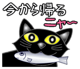 Black cat ROKU sticker #1357583