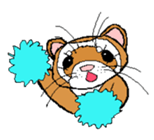 Ferret Maychan sticker #1357685