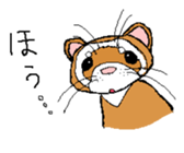 Ferret Maychan sticker #1357686