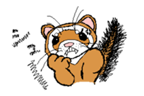 Ferret Maychan sticker #1357687