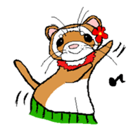 Ferret Maychan sticker #1357695