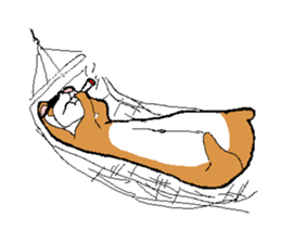 Ferret Maychan sticker #1357706