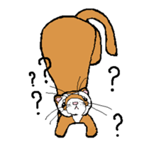 Ferret Maychan sticker #1357715