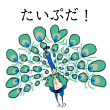 super bird human sticker #1360008