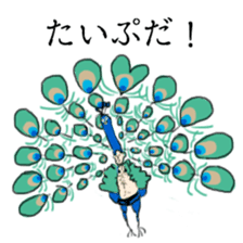 super bird human sticker #1360008