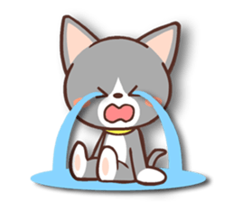 Day of a Silver Tabby Cat sticker #1360156