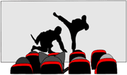 Ninja: Baby Shadow sticker #1363411