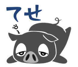 Kagoshima dialect of a black pig-don sticker #1364675
