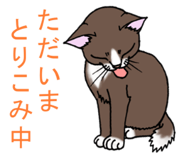 Chocolat The Evil Eye sticker #1364815