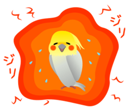 Lovely & Cute Cockatiels! sticker #1368056